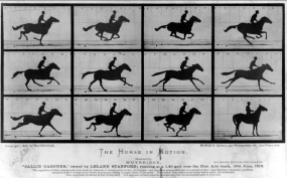Eadweard Muybridge, The Horse in Motion, 1878
