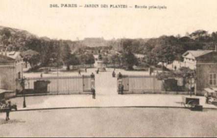 Paris Jardin des Plantes
